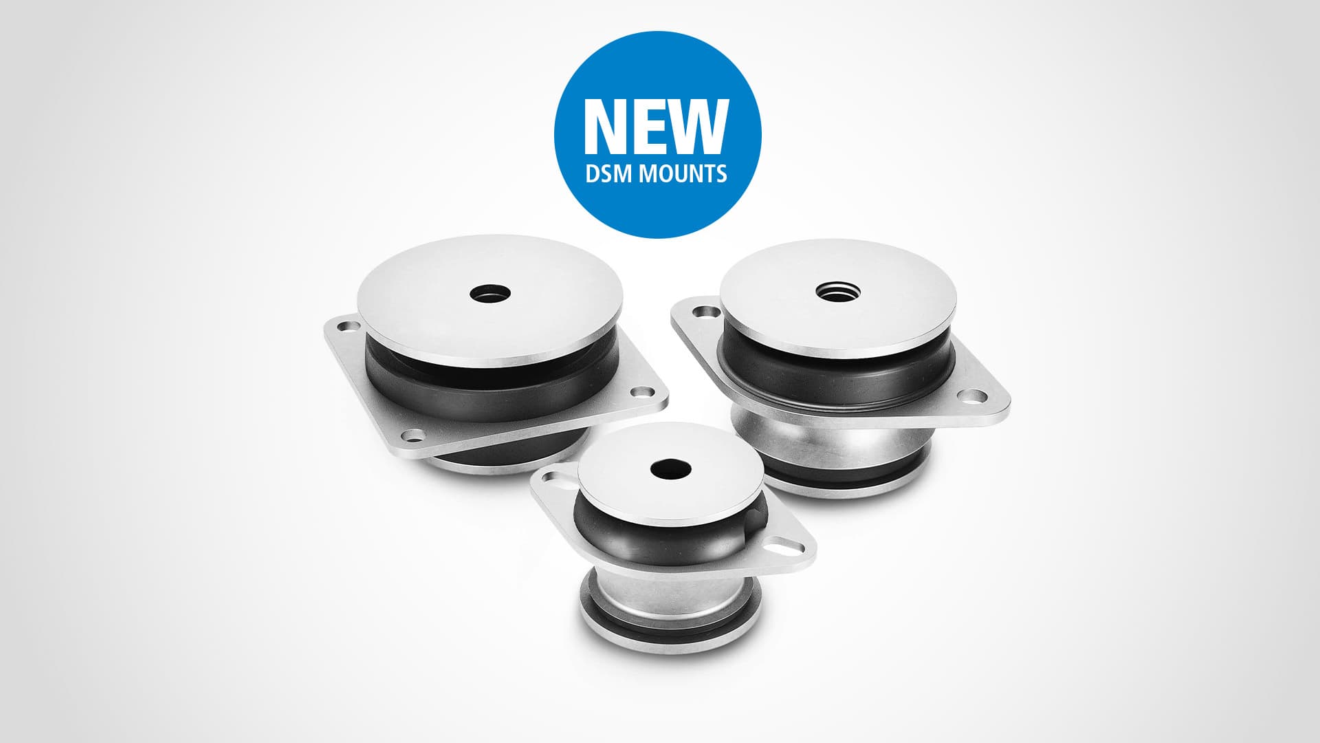 DSM new mounts